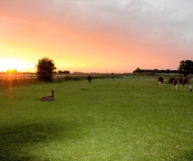 Glamping with Llamas