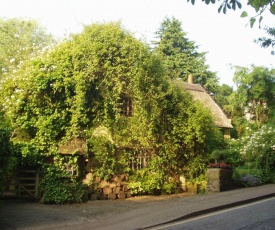 Wizards Thatch Luxury Suites