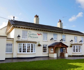 The Golden Pheasant