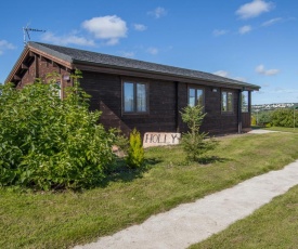 Holly Lodge, Bodmin