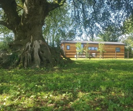 Beech Tree Lodge