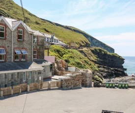 Gull Rock, Tintagel