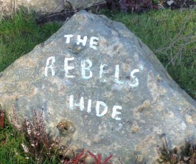 Rebels Hide