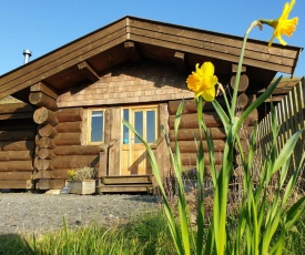 Guardswood The Woodsman Cabin